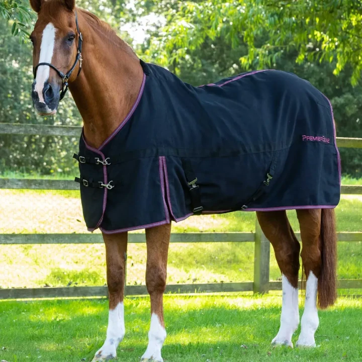 barrasso-stable-sheet-201650blk-919280_1600x.webp
