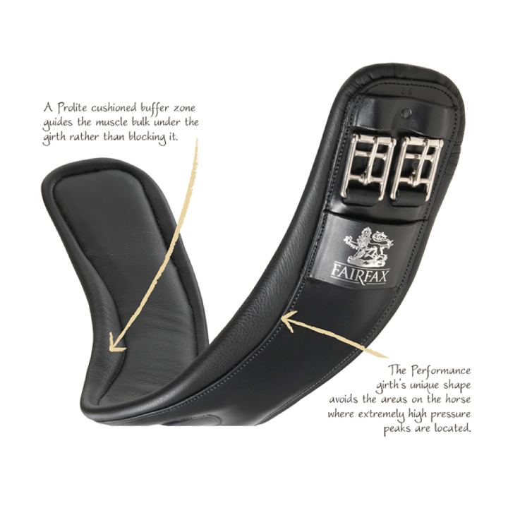 fairfax-dressage-girth.1_f.png