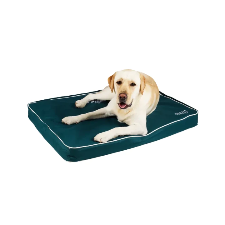 ArenaDogBed2_1400x.webp