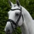 Rizzo-Anatomic-Snaffle-Bridle-with-Flash-Black-1-590592_1600x.webp