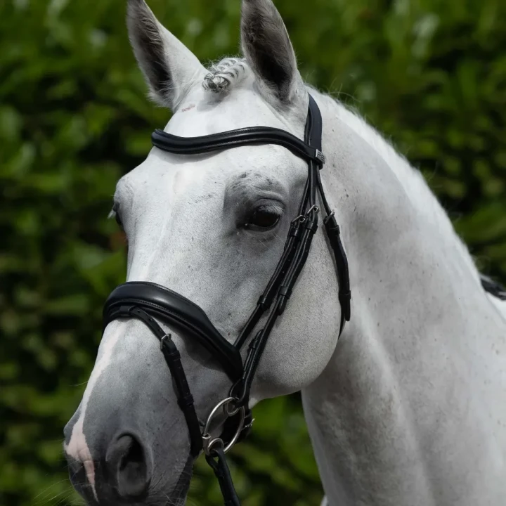 Rizzo-Anatomic-Snaffle-Bridle-with-Flash-Black-1-590592_1600x.webp