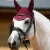 Salto-Fly-Veil-Wine-1_1600x.webp