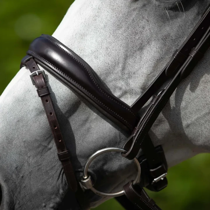 Rizzo-Anatomic-Snaffle-Bridle-with-Flash-Brown-3jpg_d81b3c56-1a7d-458b-a1f8-4e6d7ae123ee-300385_1600x.webp