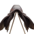 JC_P4_Jump.jpg