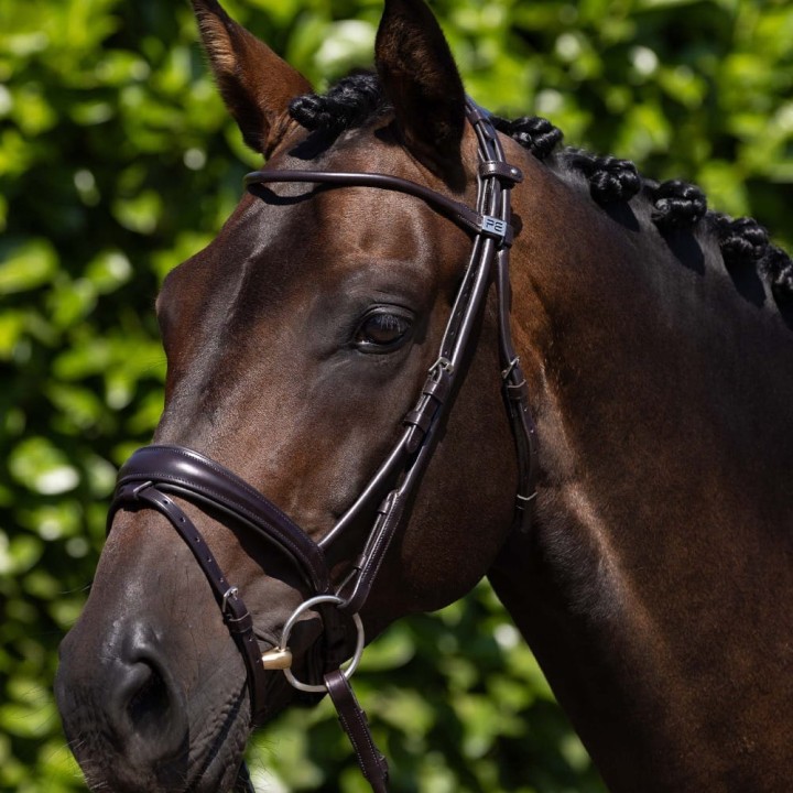 finetti-rolled-leather-snaffle-bridle-brown.jpg