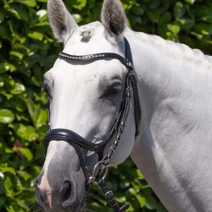 Palazzo-Snaffle-Bridle-Black-1_009cef62-e7fa-45f0-a093-38257e764622-728925_1600x.webp