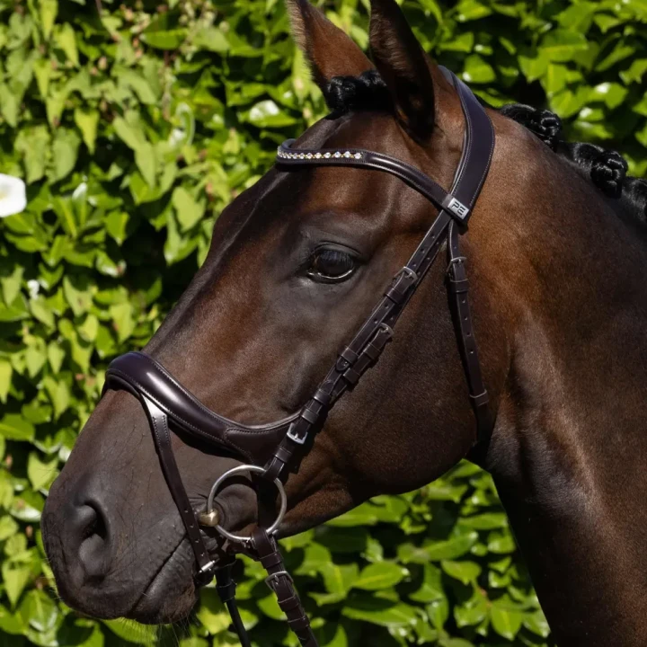 Palazzo-Snaffle-Bridle-Brown-1_4eb1f985-ae3e-4630-b587-49d449015060-958520_1600x.webp