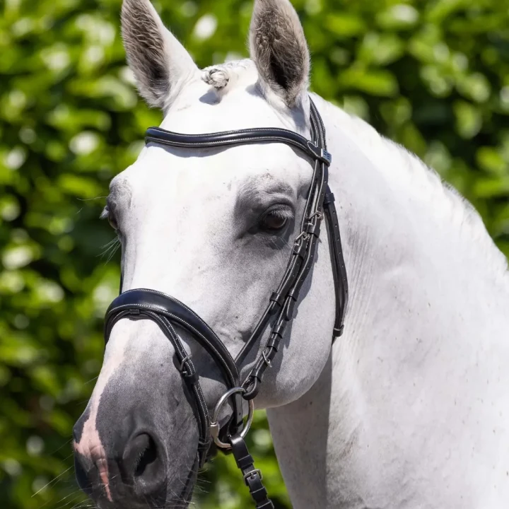 Cassano-Bridle-Black-1_8b508681-fd4e-4e65-bb88-d3cf51c39d59-704614_1600x.webp