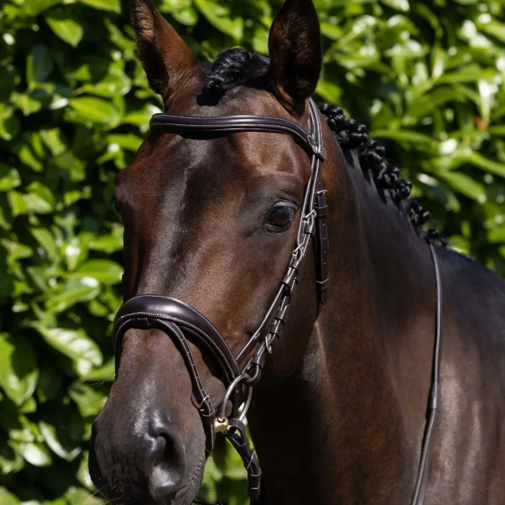 Cassano-Bridle-Brown-1_bb383730-e7ab-45bb-9c7d-24910a751498-233880_1600x.webp