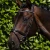 Rivere-Brown-1_4d5aa74c-a239-47f4-a27b-0a2581ad2017_1600x.webp