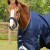 Titan-40-Turnout-Rug-Navy-2.jpg