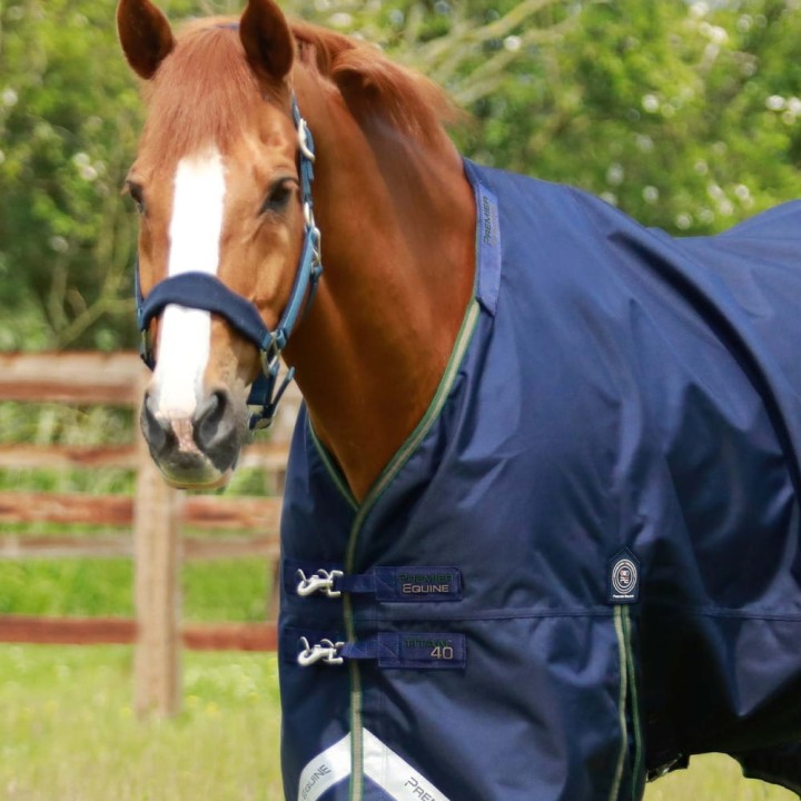 Titan-40-Turnout-Rug-Navy-2.jpg