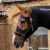 PE-Stretch-Lycra-Hood-Black-2.jpg