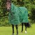 hydra-200g-stable-rug-with-neck-cover-green.jpg