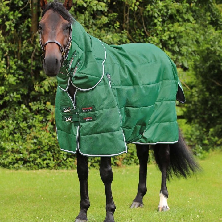 hydra-200g-stable-rug-with-neck-cover-green.jpg