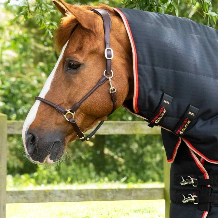 Stable-Buster-200-Stable-Rug-Black-2.jpg