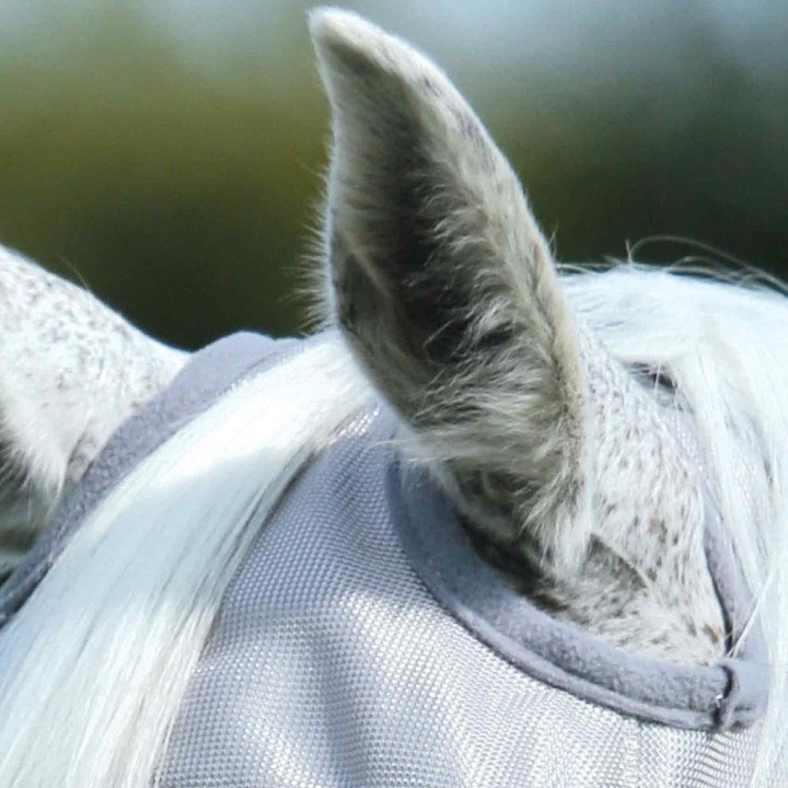Buster-Fly-Mask-Standard-3.jpg