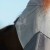 Buster-Fly-Mask-Standard-Plus-2.jpg