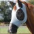 comfort-tech-xtra-lycra-fly-mask-grey.jpg