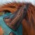 Comfort-Tech-Xtra-Lycra-Fly-Mask-Green-2.jpg