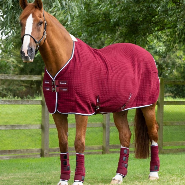 Premtex-cooler-burgundy-1.jpg