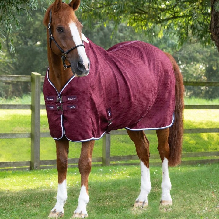 Buster-waffle-cooler-burgundy-1.jpg