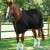Dry-Tech-Cooler-Rug-Black-1.jpg