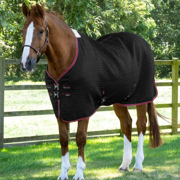 Dry-Tech-Cooler-Rug-Black-1.jpg