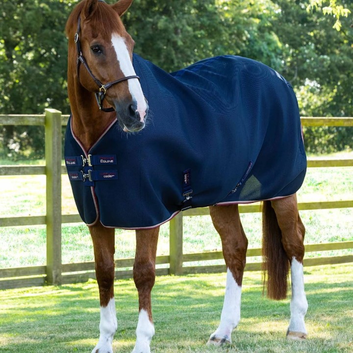 airflow-cooler-rug-navy.jpg