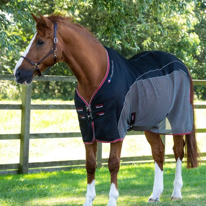 premier-equine-sports-cooler.jpg