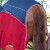 PE-Sport-Cooler-Rug-Navy-6.jpg