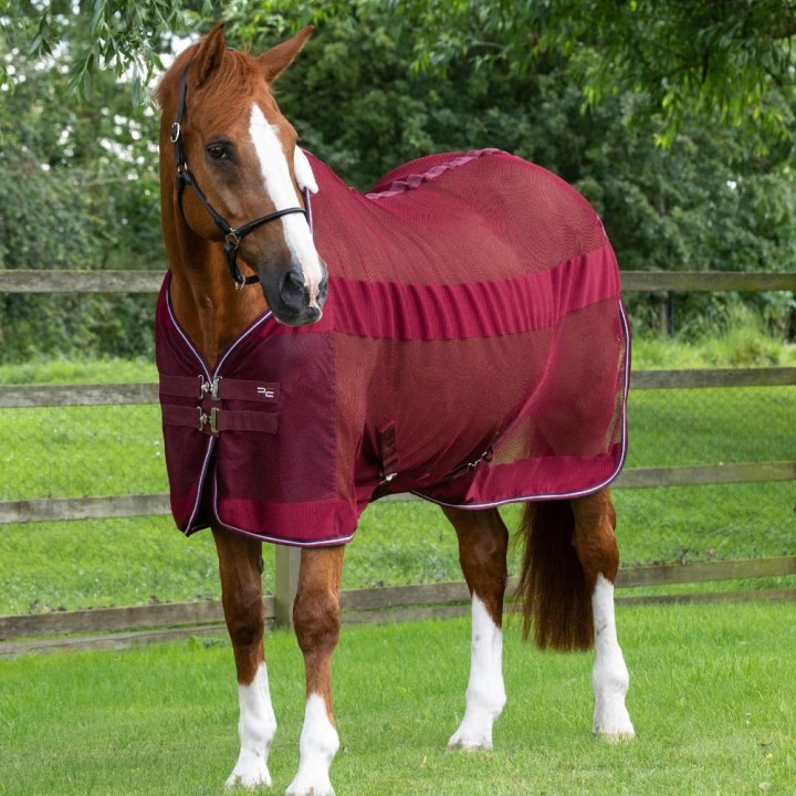 arisca-scrim-cooler-burgundy.jpg