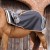 Stratus-Horse-Exercise-Sheet-Black-1NEW.jpg