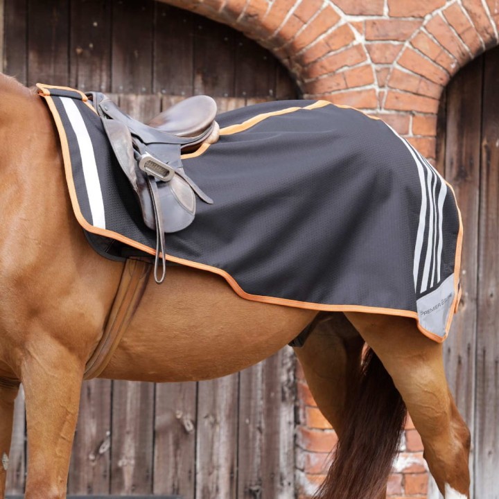 Stratus-Horse-Exercise-Sheet-Black-1NEW.jpg