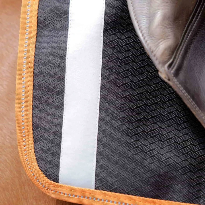 Stratus-Horse-Exercise-Sheet-Black-2.jpg