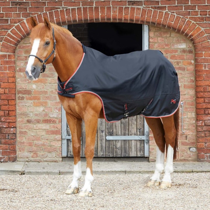 Horse-Walker-Rug-100-Black-1.jpg
