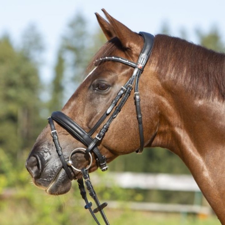 3143-kieffer-ultrasoft-economy-ii-horse-0-9cad1dd0.jpg
