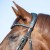 3143-kieffer-ultrasoft-economy-ii-horse-2-e95ef920.jpg