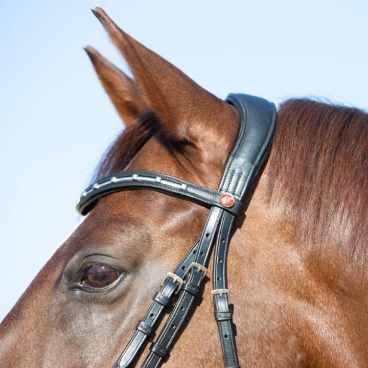 3143-kieffer-ultrasoft-economy-ii-horse-2-e95ef920.jpg