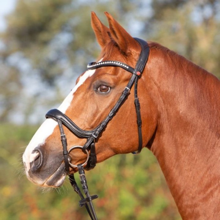 3144-kieffer-ultrasoft-amy-horse-0-4ba930c7.jpg