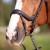 3144-kieffer-ultrasoft-amy-horse-3-0b4e45c6.jpg