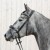 3146-kieffer-ultrasoft-unah-black-horse-0-52684753.jpg
