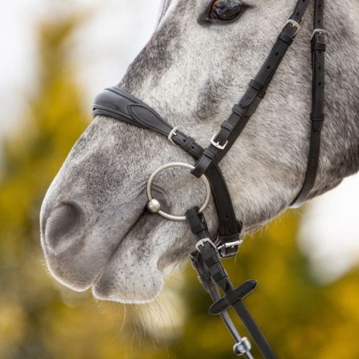 3146-kieffer-ultrasoft-unah-black-horse-4-d20d7c7b.jpg