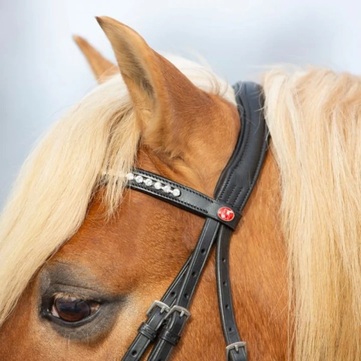 3147-kieffer-ultrasoft-haflinger-black-horse-2-77723aba.jpg
