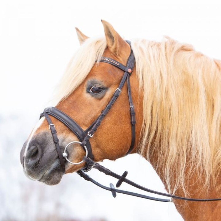 3147-kieffer-ultrasoft-haflinger-brown-horse-0-e907ceb5.jpg