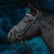 ES0003-essentials-lara-horse-0a-e9f256b0.jpg