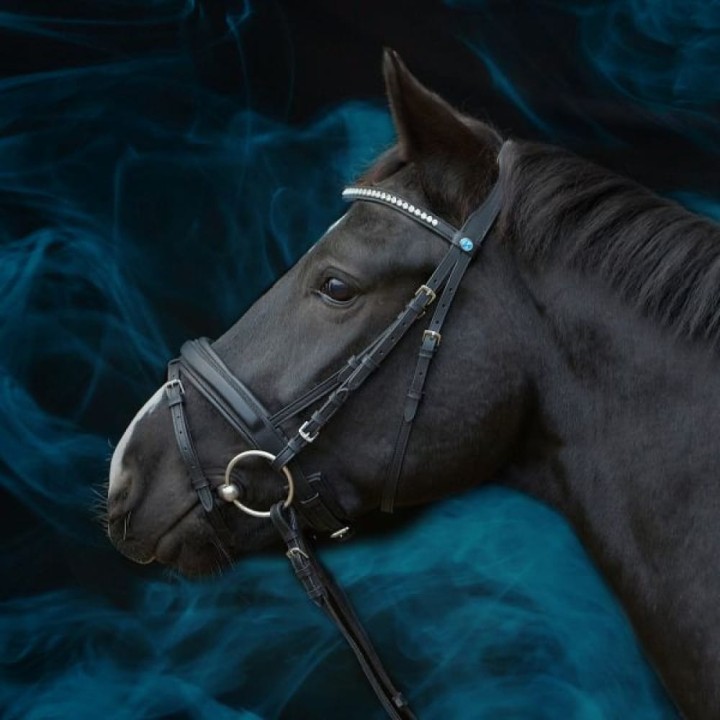 ES0003-essentials-lara-horse-0a-e9f256b0.jpg
