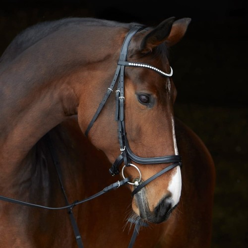 3158_kieffer_ultrasoft_stella_horse_1.jpg