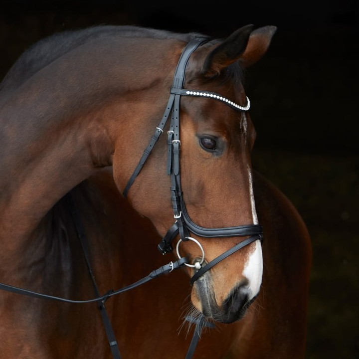 3158_kieffer_ultrasoft_stella_horse_1.jpg