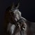 3155_kieffer_ultrasoft_amy_horse_0.jpg